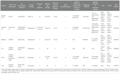 Is CD19-directed chimeric antigen receptor T cell therapy a smart strategy to combat central nervous system lymphoma?